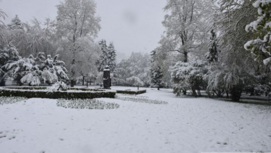 iarnaninsoareaprilie (15)_234619.JPG