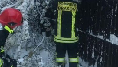 zapadaaprilie2.jpg