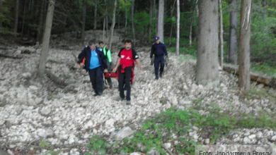 IMG-20170528-WA0004_236545.jpg