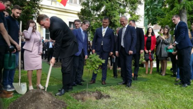 Iohannis_plant1_236241.jpg