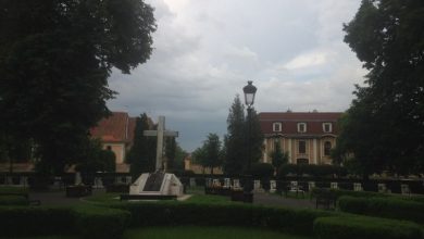 cimiruleroilor1.jpg