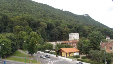 dscn3010.jpg