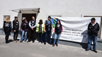 grevagardamediu (2)_234924.JPG