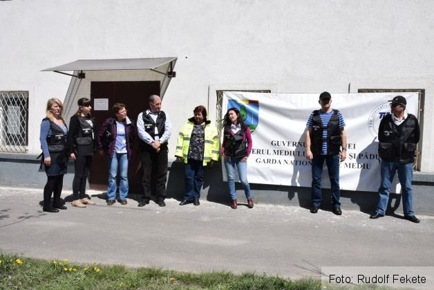 grevagardamediu (3)_234927.JPG