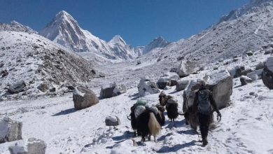 himalaya.jpg