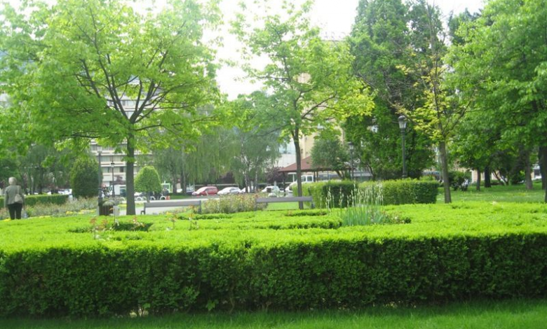 img-9993.jpg