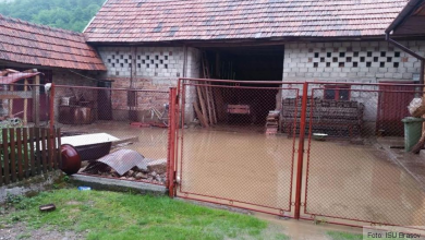 inundatiiteliu.jpg