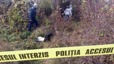 spanzurat-padure.jpg