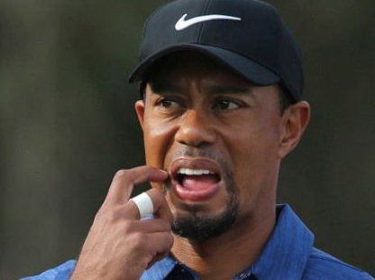 Tiger Woods, arestat pe motiv că ar fi condus băut 1 tiger.jpg