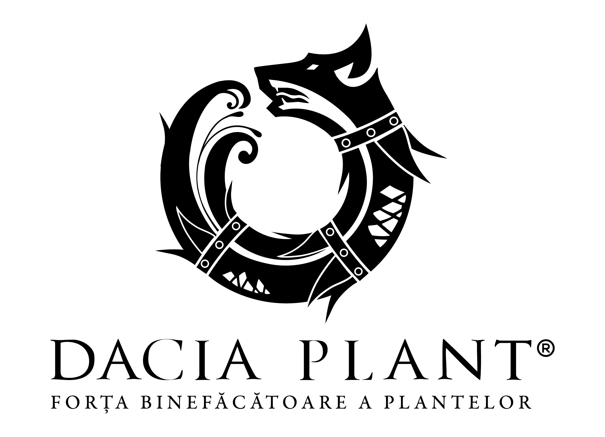 DACIA PLANT