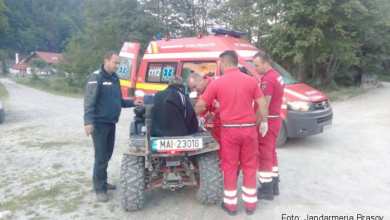 accident exploatare forestiera 3_237831.jpg
