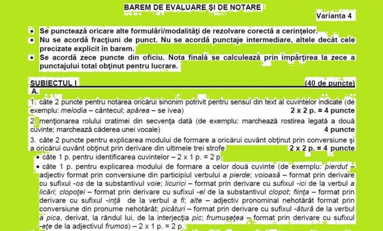 Evaluarea Naţională 2017. Ce şi cum se punctează la Limba şi literatura română 1 barem_4.jpg