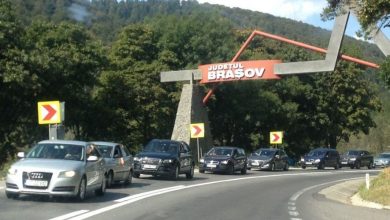 dn1_6.jpg