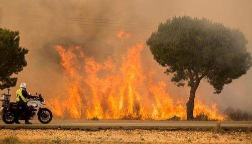 MOBILIZARE. Incendiu VIOLENT într-un parc natural!!! 1 foc_3.jpg