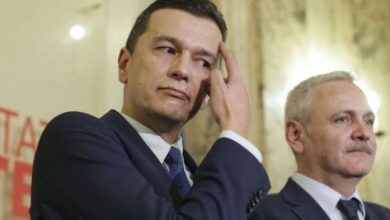 grindeanudragnea_2.jpg