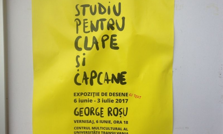 BRAȘOV. Studiu pentru clape și capcane 1 img-9126.jpg