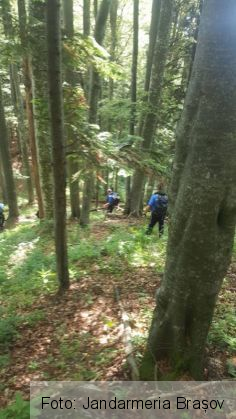 Update. BRAȘOV. Cei doi turiști rătăciți pe munte au fost găsiți 1 jandarmi montani 2_237264.jpg