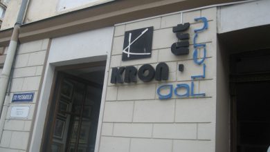 BRAŞOV. Perspectiva inversă a lui Cristian Florin Tănăselea 3 kronart_4.jpg