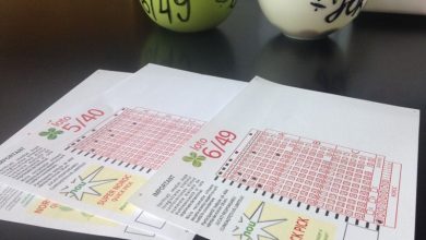 loto_80.jpg