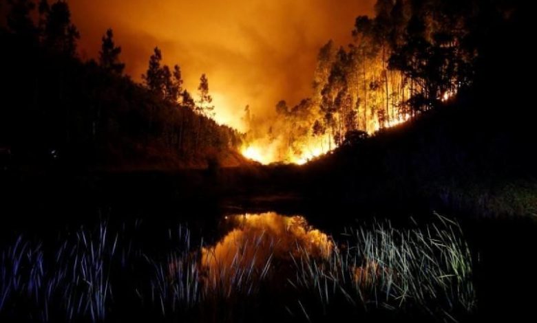 TRAGEDIE. Cel puțin 62 de morți într-un incendiu de pădure 1 portugal_2.jpg