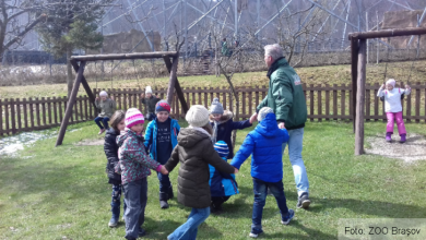 scoala altfel zoo 3_237511.png