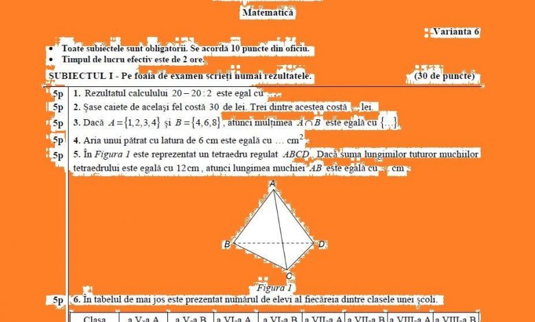 Evaluarea Naţională 2017. Subiectele şi baremul la Matematică 1 submate_2.jpg
