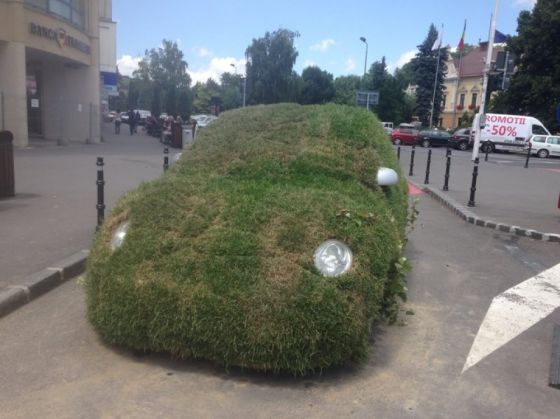 BRAŞOV. Apariţie inedită la „Modarom” 1 1_238729.jpg
