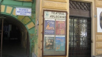 arlechino_47.jpg