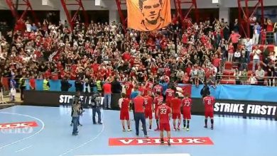 dinamohandbal.jpg