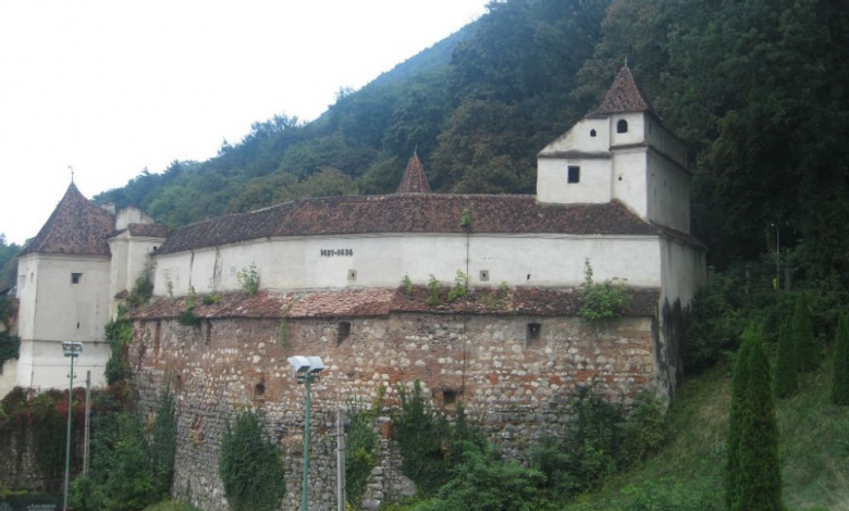 img-3595.jpg