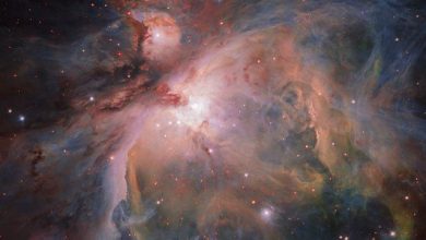 nebuloasaorion.jpg