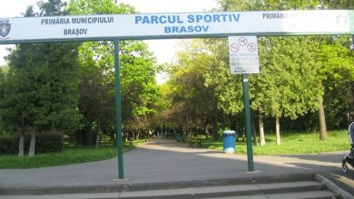 parc_4.jpg