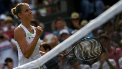 pliskova_238335.jpg