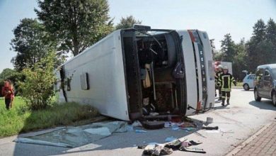 autocargermania.jpg