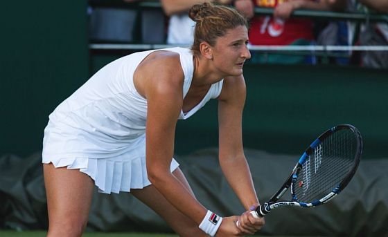 begu_18.jpg