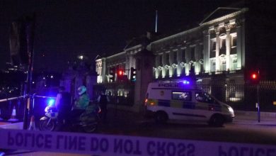 buckingham_2.jpg