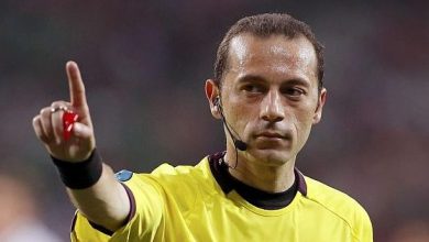 cakir.jpg