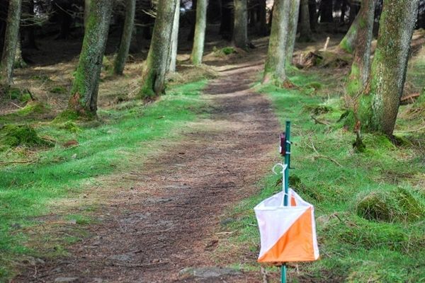 BRAŞOV. Peste 150 de sportivi la Trofeul „Ţara Bârsei” 1 concurs-orientare-sportiva.jpg