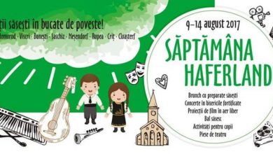 haferlandsaptamana2017_2.jpg