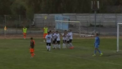 harman_20.jpg
