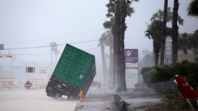 harvey.jpg