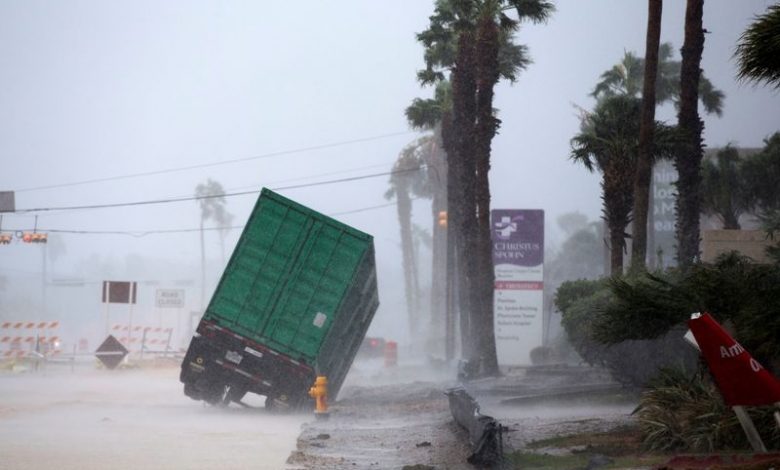 harvey.jpg