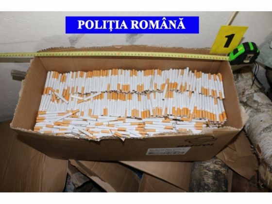 Şapte tone de tutun şi 23 de milioane de ţigări, indisponibilizate în primele 7 luni ale anului 1 tigari brasov 5_239626.jpg