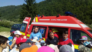 vacantainsiguranta.jpg