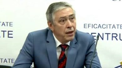 burcea_8.jpg