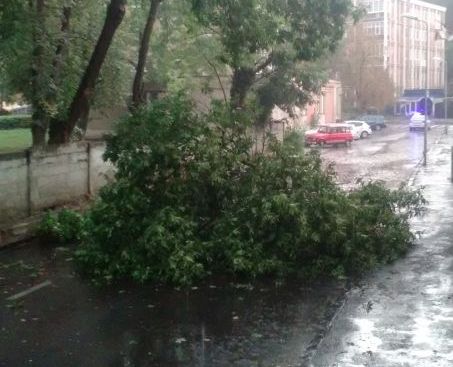 UPDATE. BRAȘOV. Autoritățile au venit să deblocheze strada!!! 1 copac_11.jpg