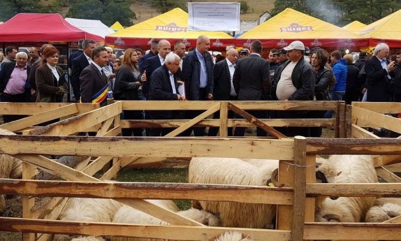 Din ciclul DAEA ȘI OAIA!!! Încă o „perlă” scoasă de ministrul Agriculturii... 1 daea_4.jpg