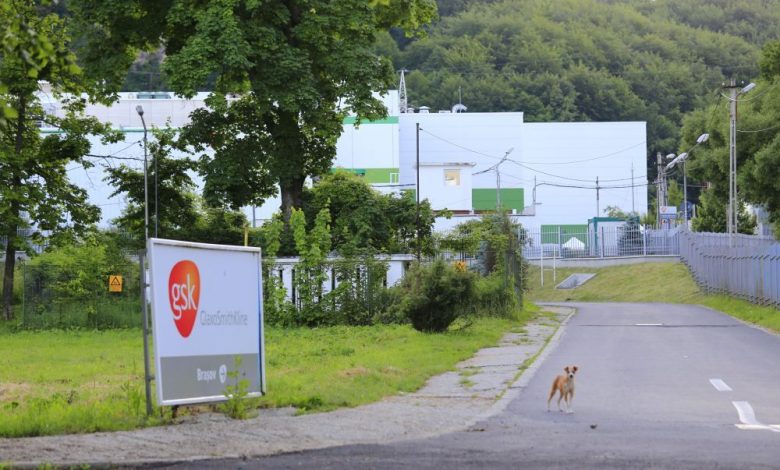 BRAŞOV. Se redeschide fabrica de medicamente Europharm? 1 europharm2.jpg