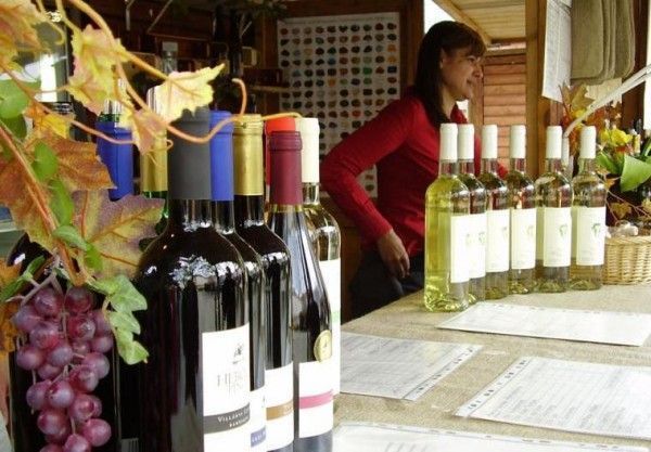 BRAȘOV. Vița de Vie, Bere Gratis, Nicolae Furdui Iancu, Mariana Anghel, la Festivalul Vinului 1 festival-vin.jpg