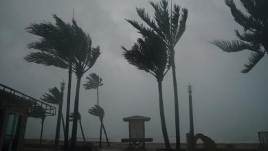 florida.jpg
